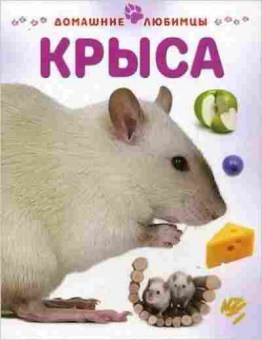 Книга Крыса (Рейнер М.), б-11240, Баград.рф